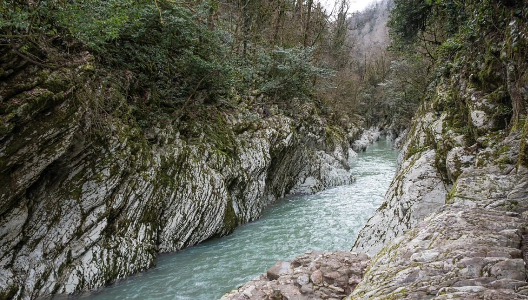Кавказский заповедник