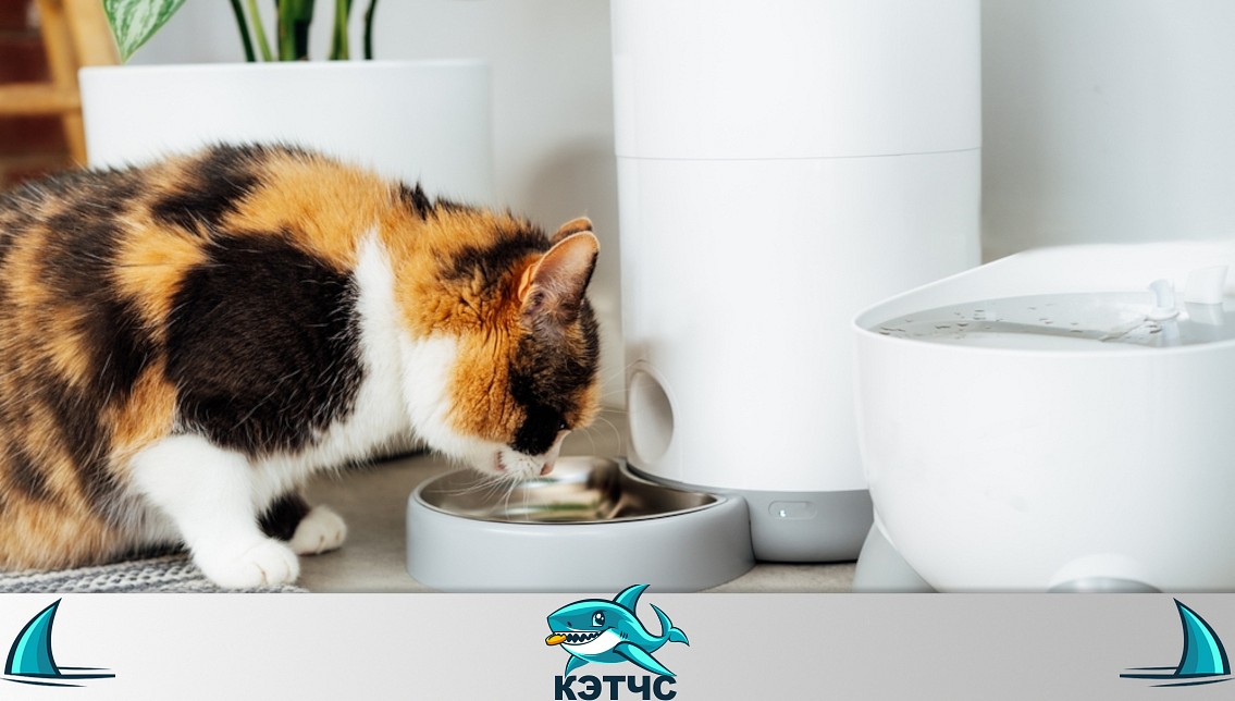 Лучшие автоматические кормушки для домашних животных в 2026 году