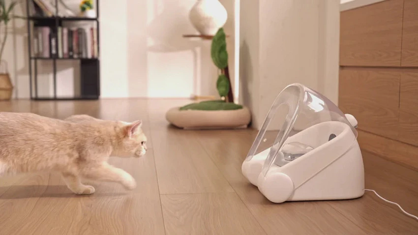 Лучшие автоматические кормушки для домашних животных в 2026 году